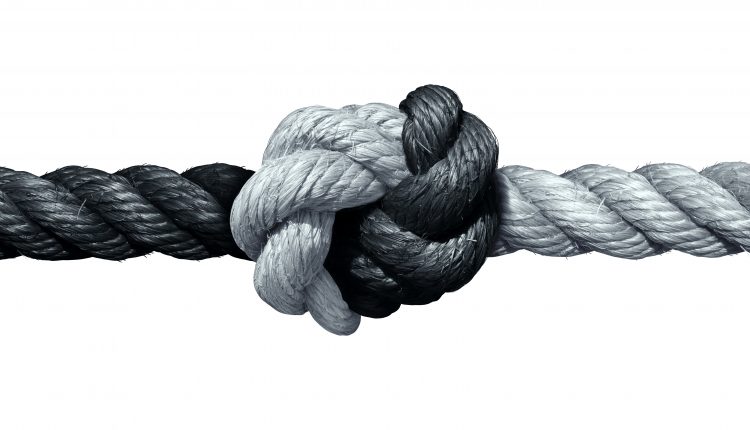 trust partner rope