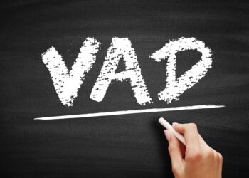 TechBridge MEA named Channel VAD for Check Point
