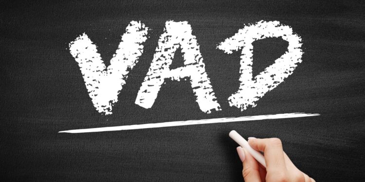 TechBridge MEA named Channel VAD for Check Point