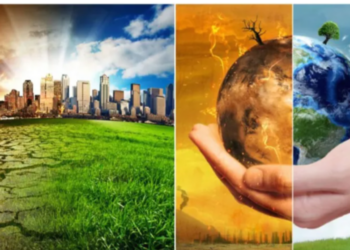 74% of global businesses increase investment in Net Zero transition