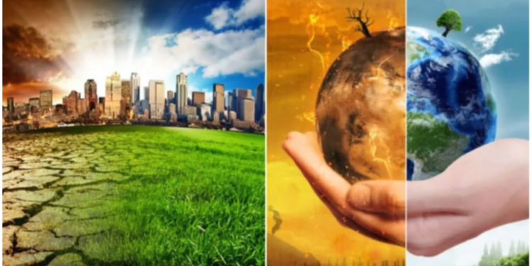 74% of global businesses increase investment in Net Zero transition