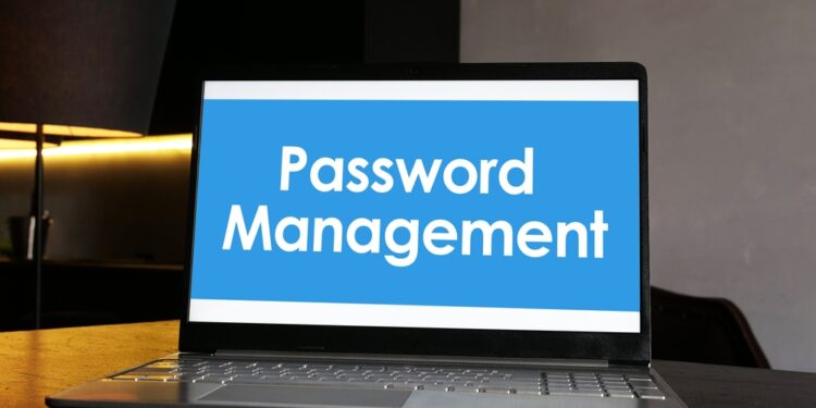 Behavioural economics of enterprise password management