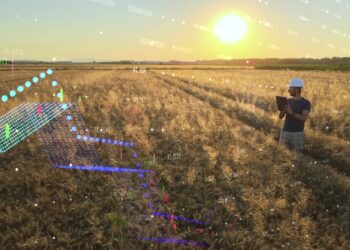 University of Sharjah and IBM to enhance sustainable farming with chatbot