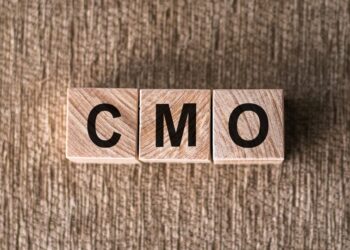 WSO2 names Thibaut Rouffineau as Chief Marketing Officer