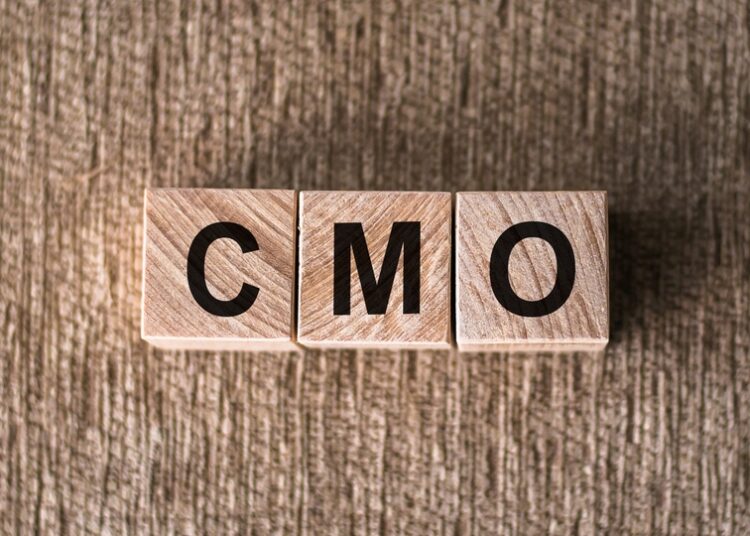 WSO2 names Thibaut Rouffineau as Chief Marketing Officer